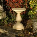 Bird Table Arcadian