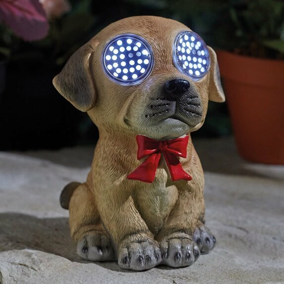 Blinkin' Dog