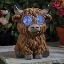 Blinkin' Highland Cow 