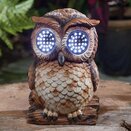 Blinkin' Owl - Large