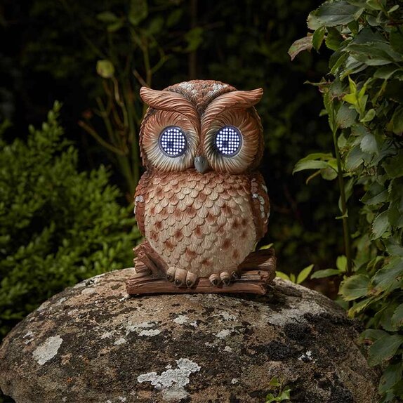 Blinkin' Owl - XL