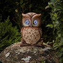Blinkin' Owl - XL