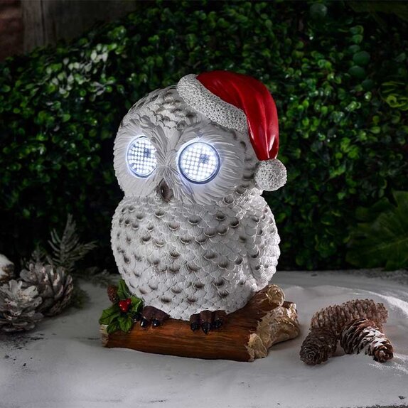 Blinkin' Snowy