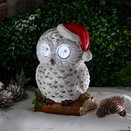 Blinkin' Snowy