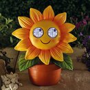 Blinkin' Sunflower - XL