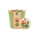 Bloom Bucket - Orange