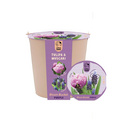 Bloom Bucket - Purple