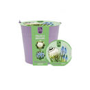 Bloom Bucket - White