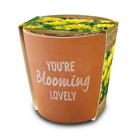 Blooming Lovely Terracotta Pot 