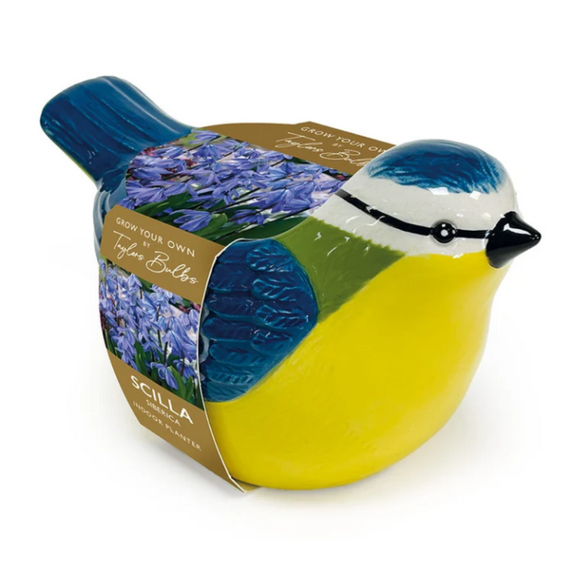 Blue Tit Indoor Planter