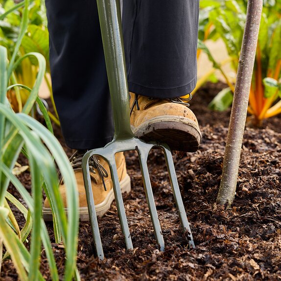Boron Green Border Fork - image 1