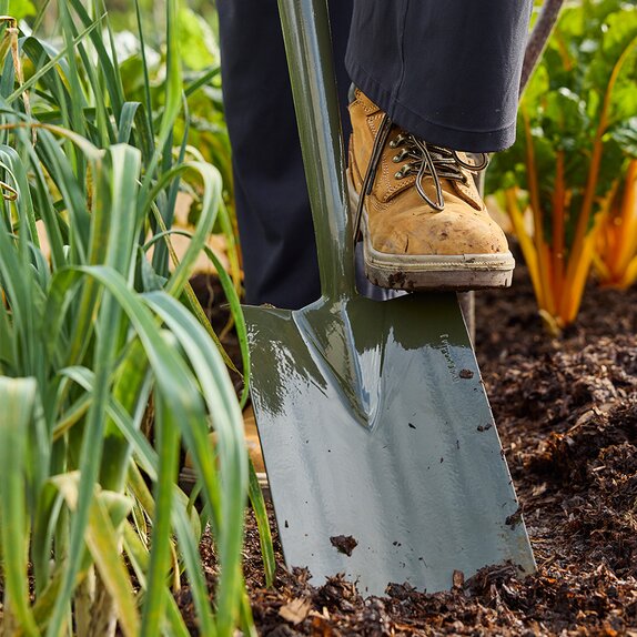 Boron Green Border Spade - image 1