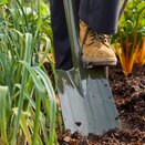 Boron Green Border Spade - image 1