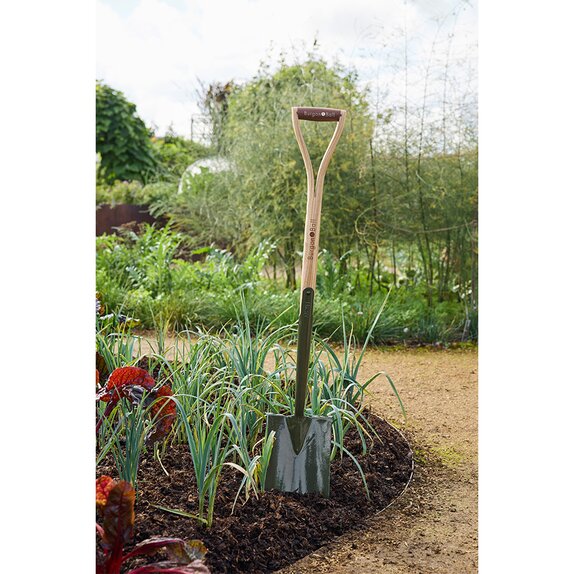 Boron Green Border Spade - image 2