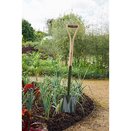 Boron Green Border Spade - image 2