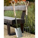 Boron Green Border Spade - image 3