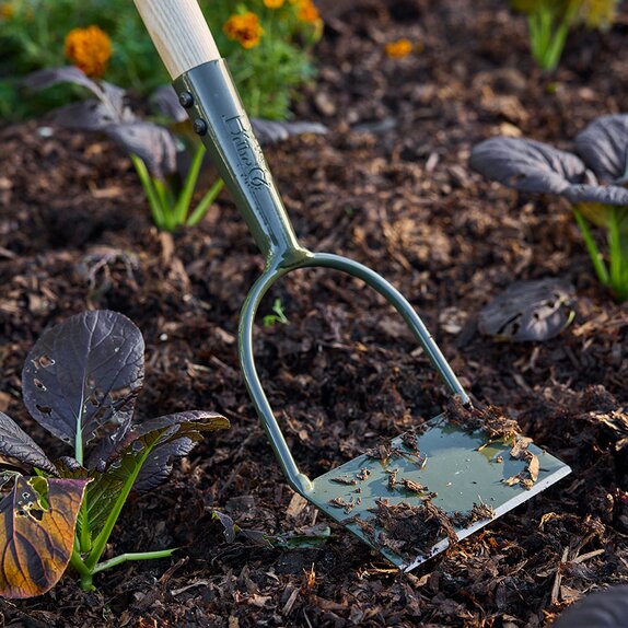 Boron Green Dutch Hoe
