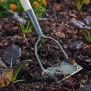 Boron Green Dutch Hoe