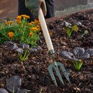 Boron Green Mid Handled Fork - image 1