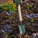 Boron Green Mid Handled Trowel - image 2