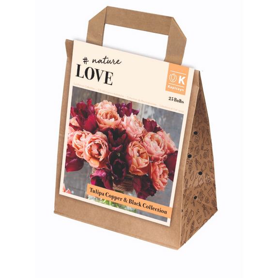 Bouquet Collection - Tulip Copper and Black