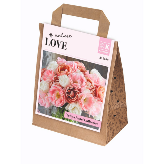 Bouquet Collection - Tulip Double Pastel 