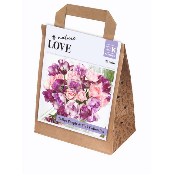 Bouquet Collection - Tulip Purple and Pink