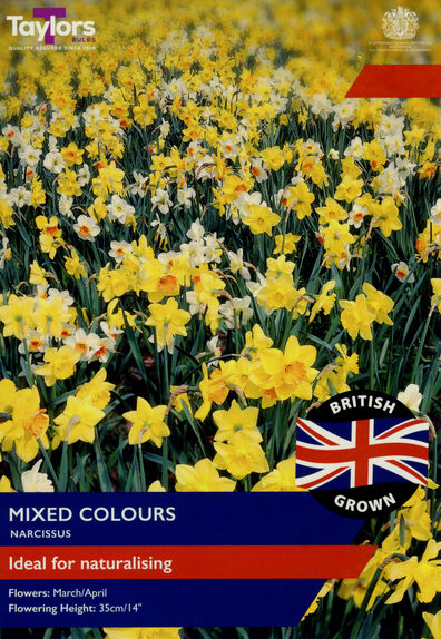 British Grown Naturalising Mixed Colours