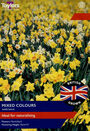 British Grown Naturalising Mixed Colours