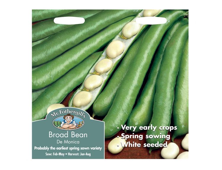 Broad Bean Seeds De Monica - image 1