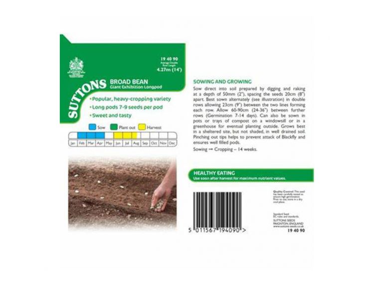 Broad Bean Seeds Giant Exhibition Longpod - image 2