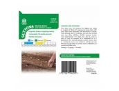 Broad Bean Seeds Giant Exhibition Longpod - image 2
