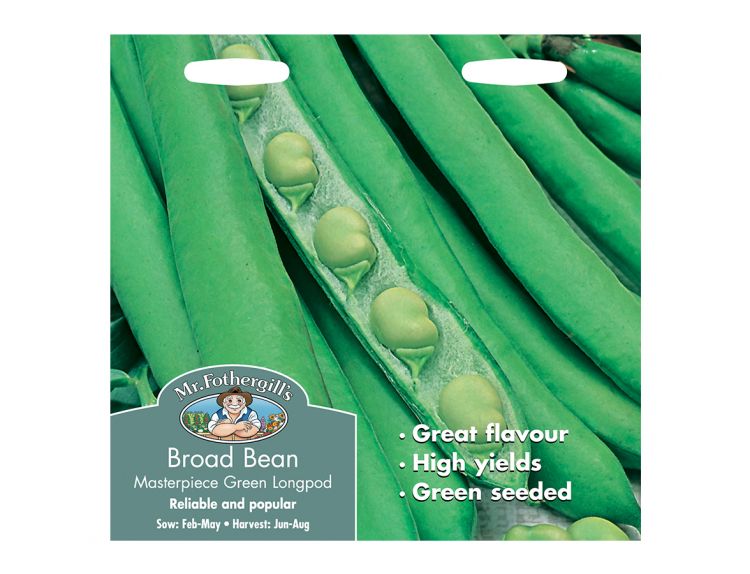 Broad Bean Seeds Masterpiece Green Longpod - image 1