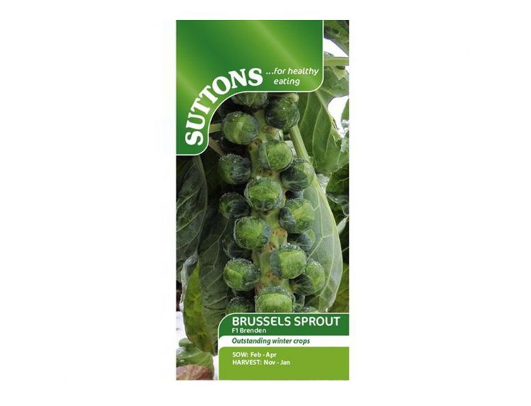 Brussels Sprouts Seeds Brenden F1 - image 1