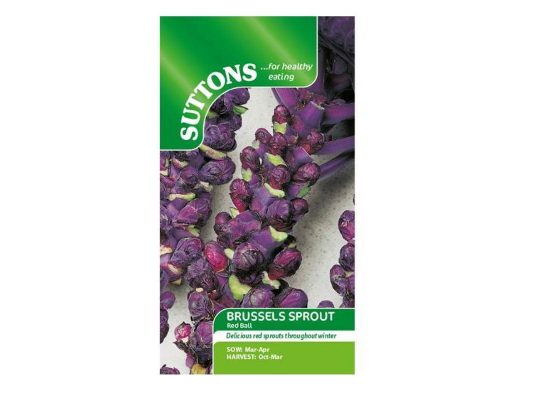 Brussels Sprouts Seeds Red Ball - image 1