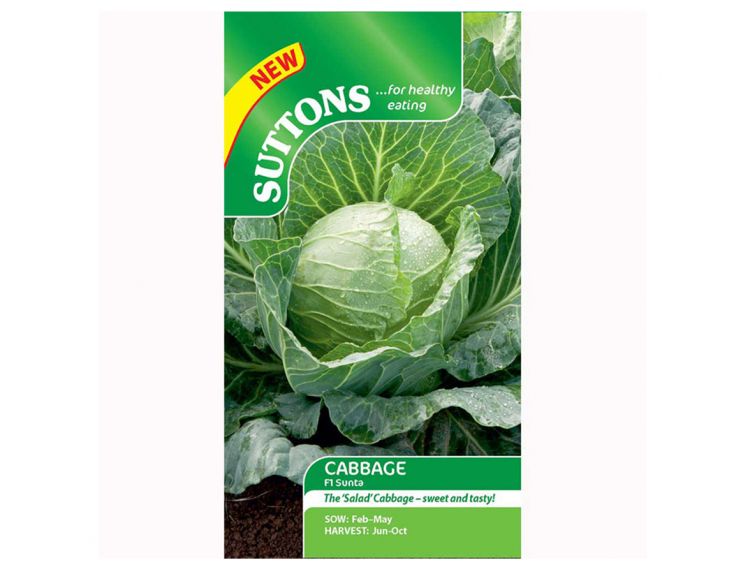 Cabbage Seeds F1 Sunta - image 1