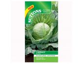Cabbage Seeds F1 Sunta - image 2