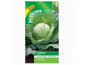 Cabbage Seeds F1 Sunta - image 1