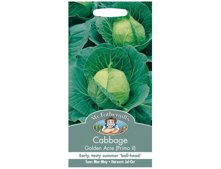 Cabbage Seeds Golden Acre (Primo II) - image 1
