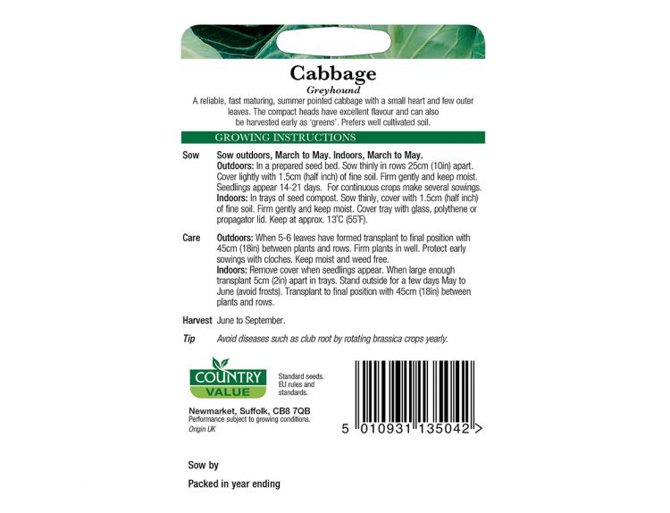 Cabbage Seeds Greyhound - image 2