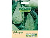 Cabbage Seeds Greyhound - image 1