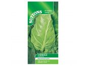 Cabbage Seeds Greyhound - image 1