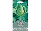 Cabbage Seeds Offenham 2 (Flower of Spring) - image 1