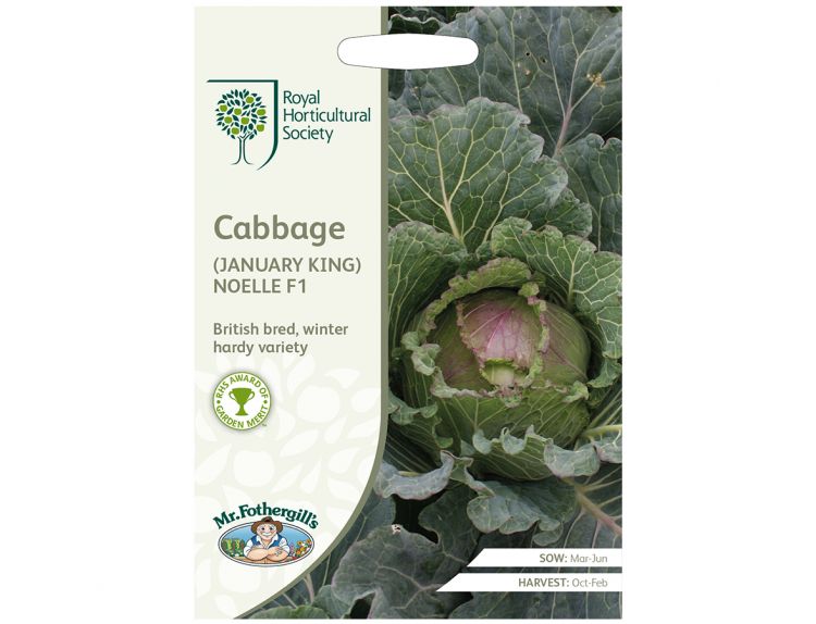 Cabbage Seeds RHS (January King) Noelle F1 - image 1