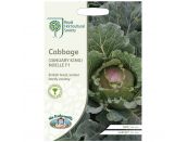 Cabbage Seeds RHS (January King) Noelle F1 - image 2