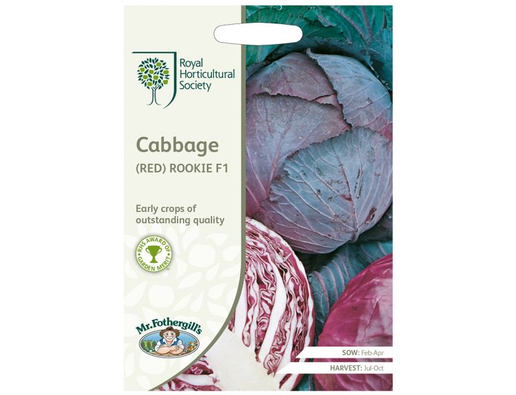 Cabbage Seeds RHS (Red) Rookie F1 - image 1