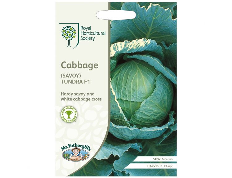 Cabbage Seeds RHS (Savoy) Tundra F1 - image 1