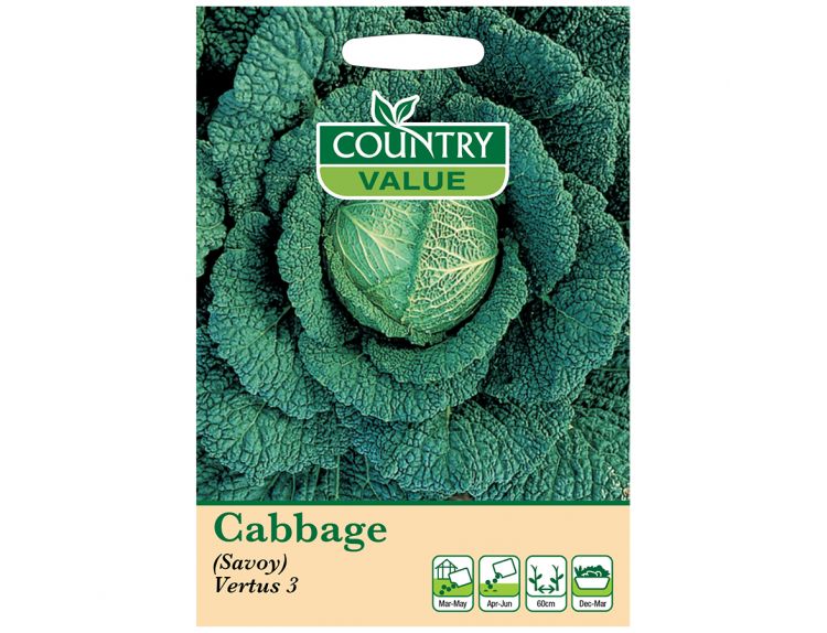 Cabbage Seeds (Savoy) Vertus 3 - image 1