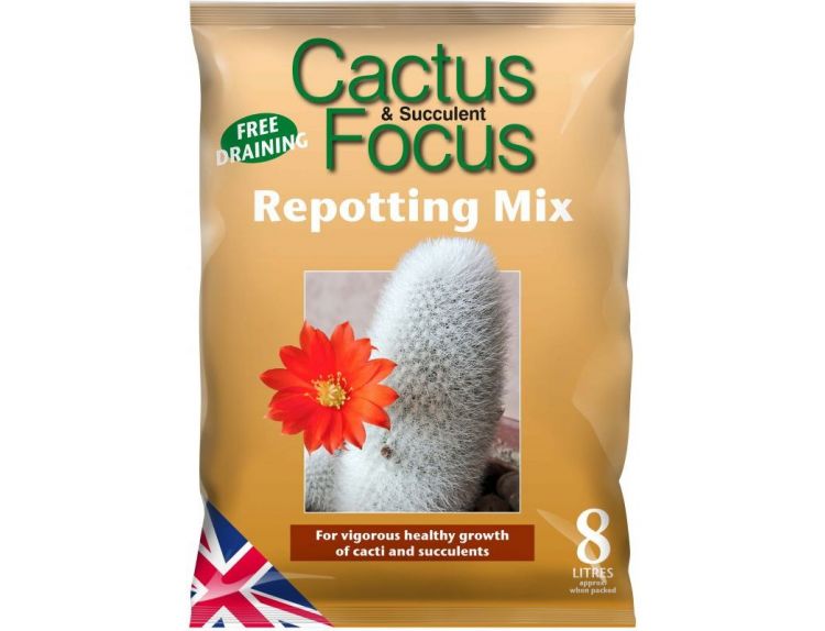 Cactus Focus Repotting Mix 4L - image 2