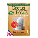 Cactus & Succulent Focus Repotting Mix Peat Free 3 L - image 1